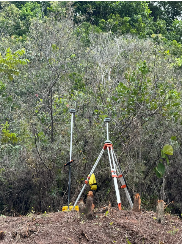 Base e bastão instalados em área de vegetação densa.